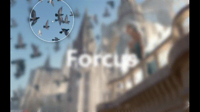 output(video-cutter-js.com) (11).gif