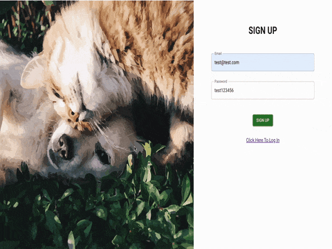 画面収録 2023-11-23 10.50.13.gif