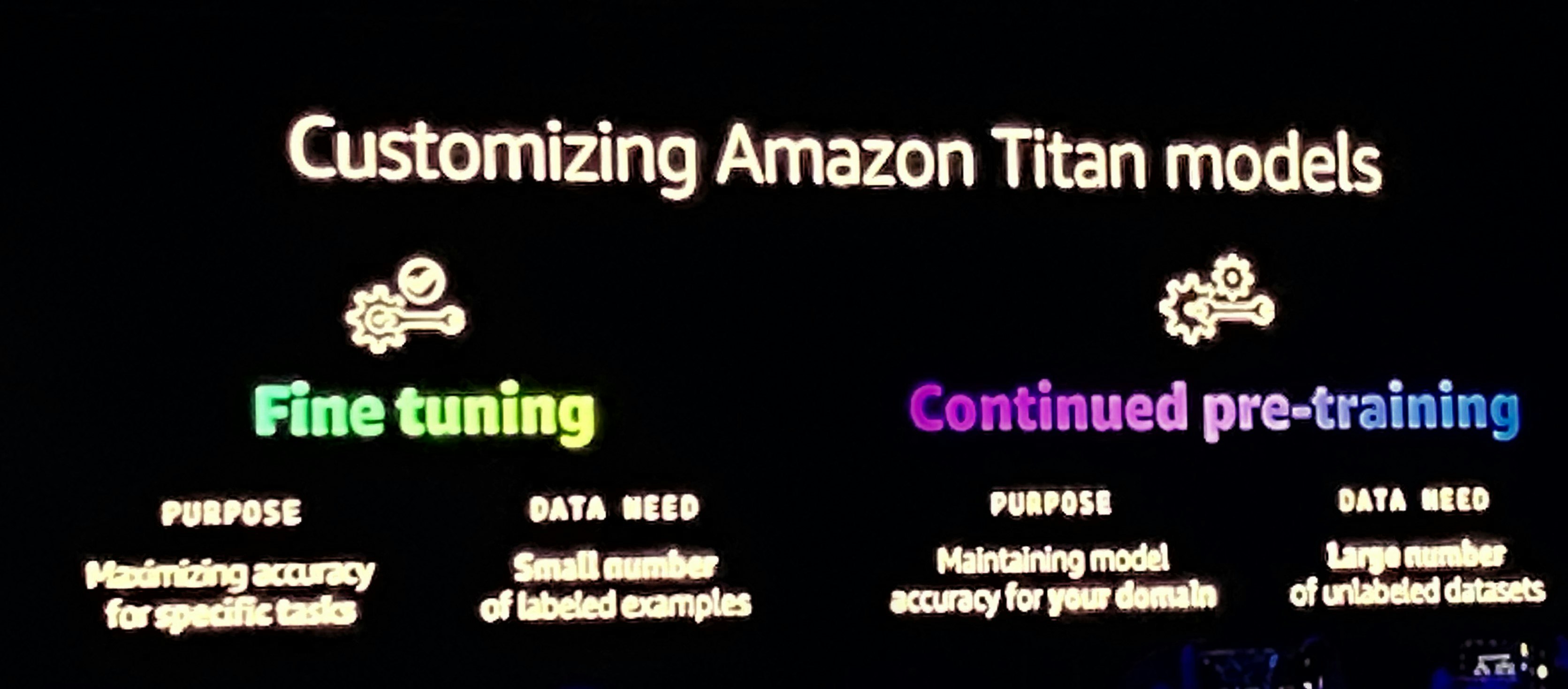 9_Customizing Amazon Titan models slide.jpg