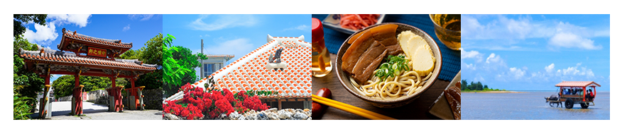シニア.png