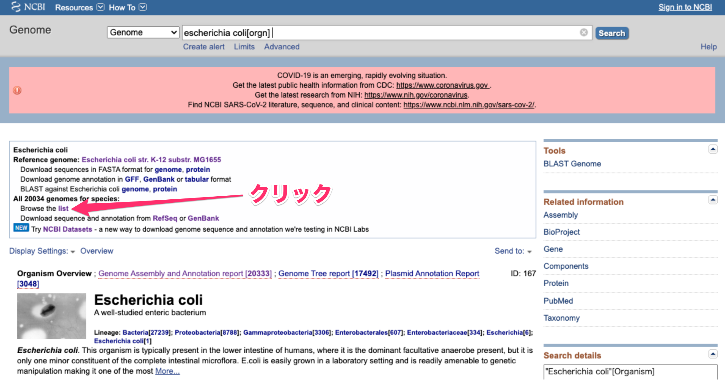 Escherichia_coli__ID_167__-_Genome_-_NCBI.png
