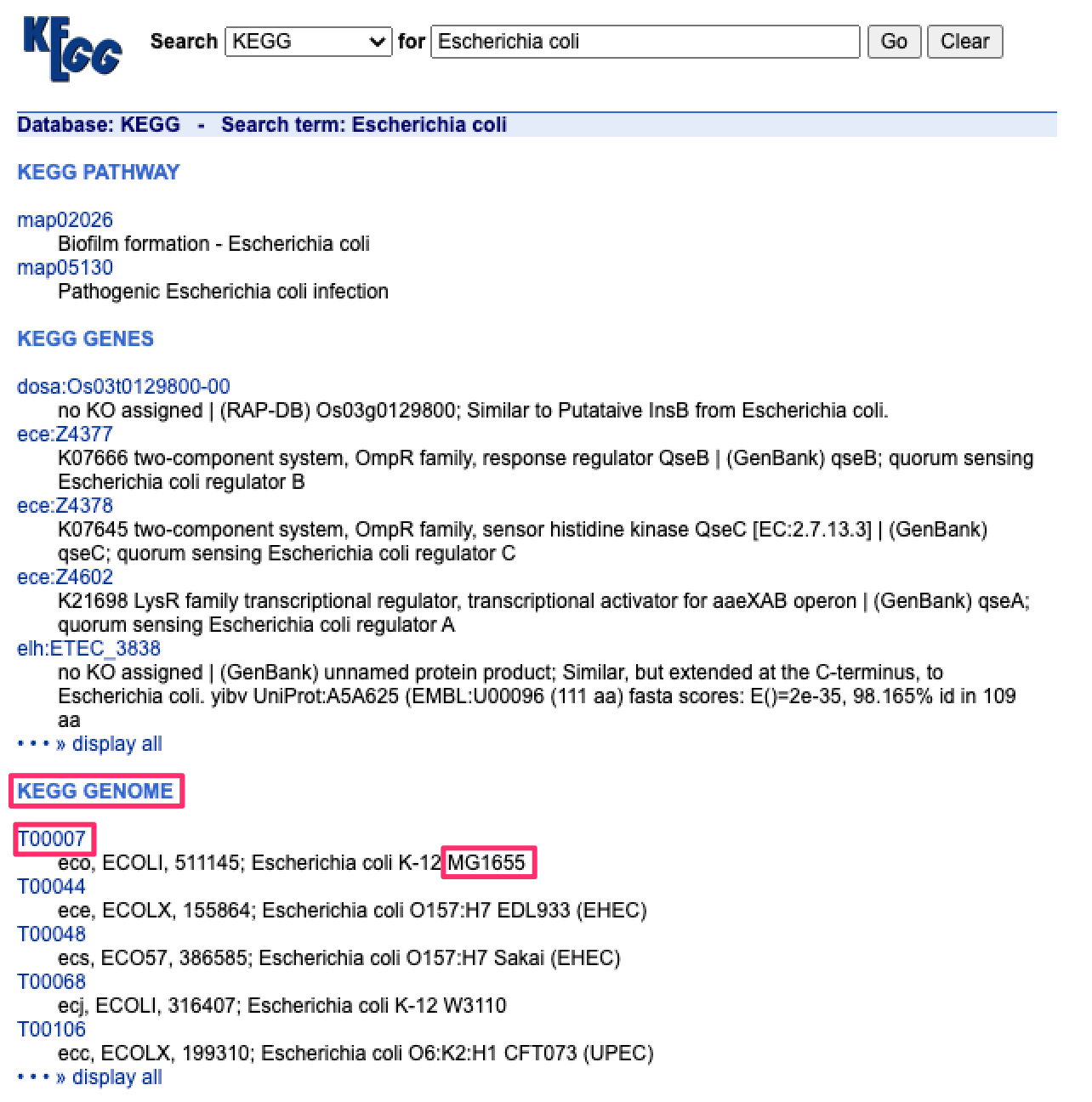 DBGET_Search_Result__KEGG_Escherichia_coli.png