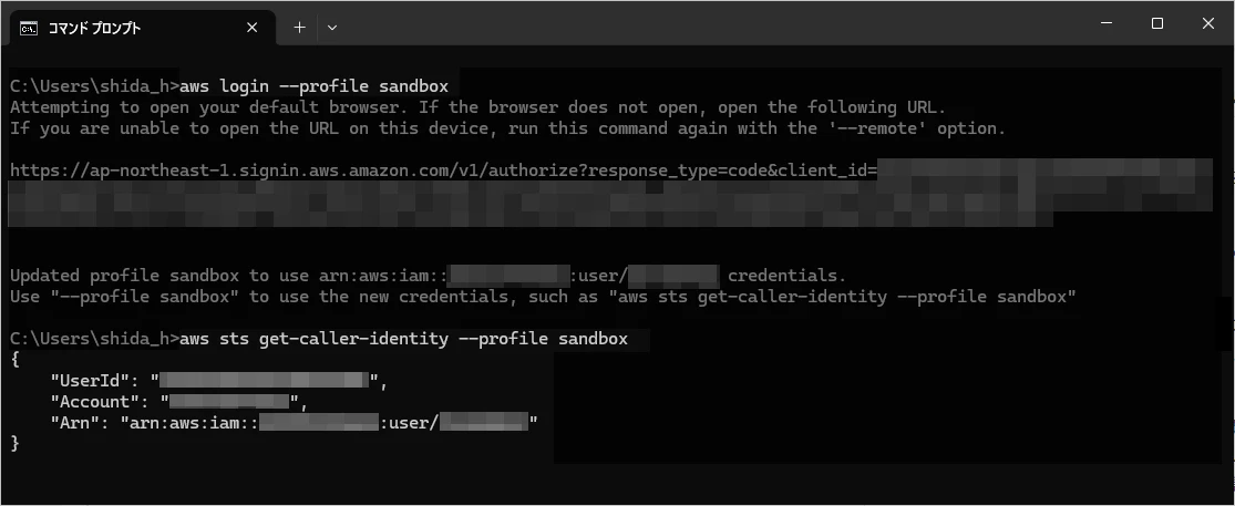 aws_login_error_20260406_002.png