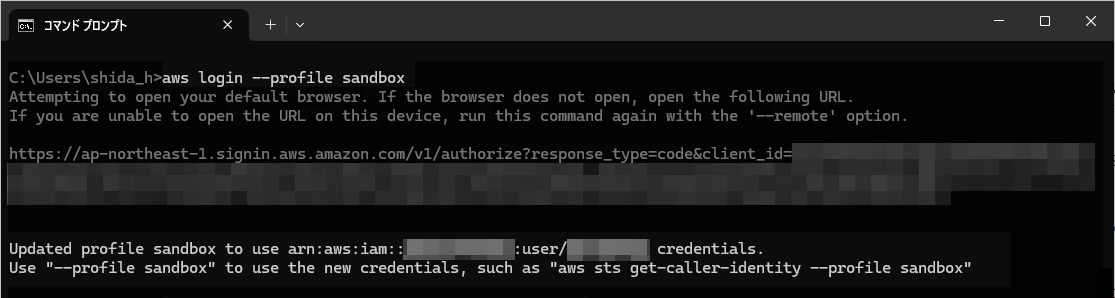 aws_login_error_20260406_003.png