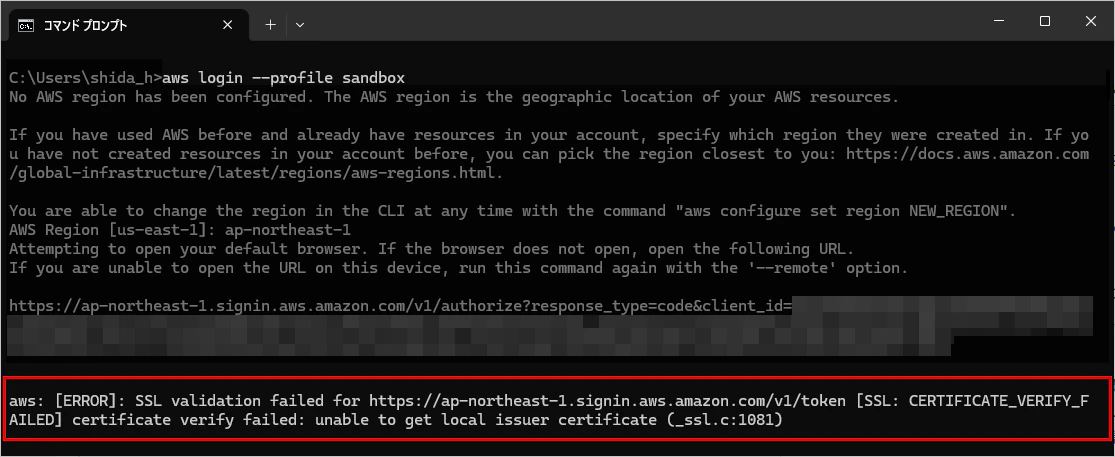 aws_login_error_20260406_001.png