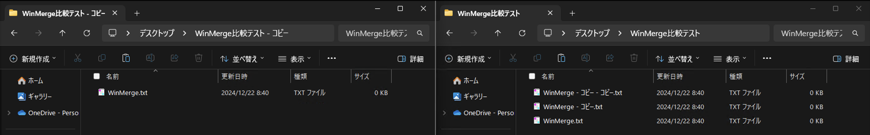 スクリーンショット 2024-12-22 8.47.25.png