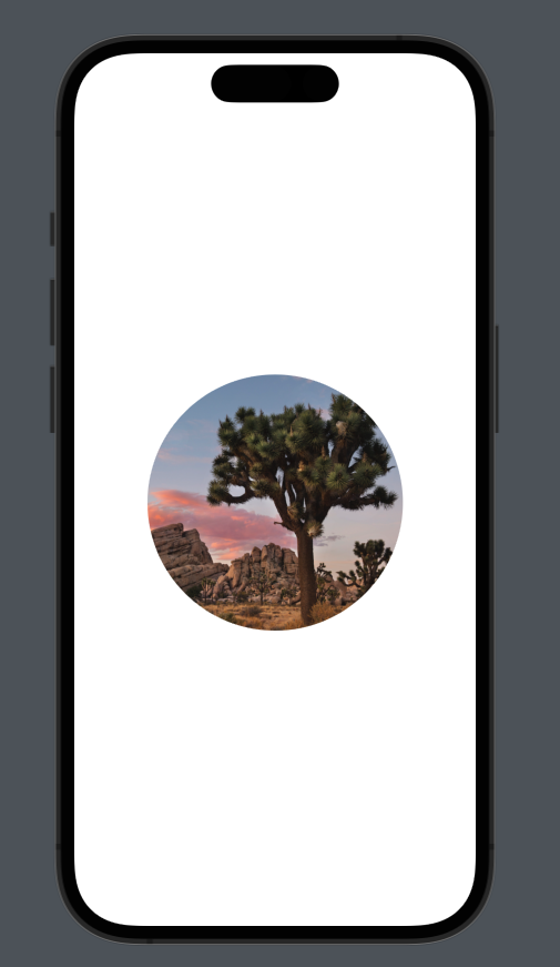 スクリーンショット 2024-02-01 14.28.40.png