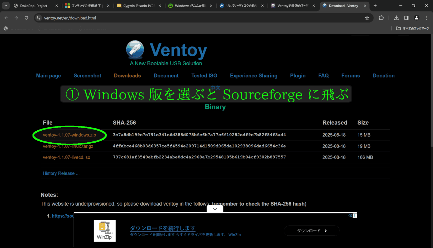 VentoyInstallAnim.gif