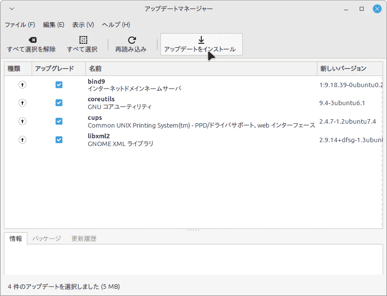 05_UpdateManager.png
