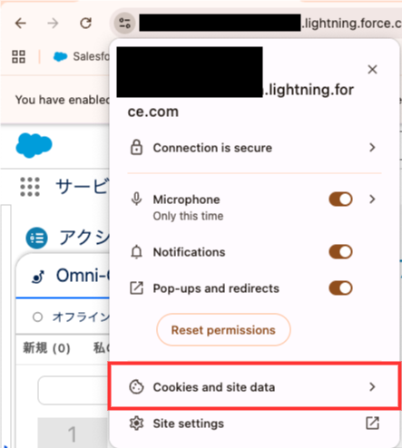 Cookies and site data(クッキーとサイトデータ) を選択|400