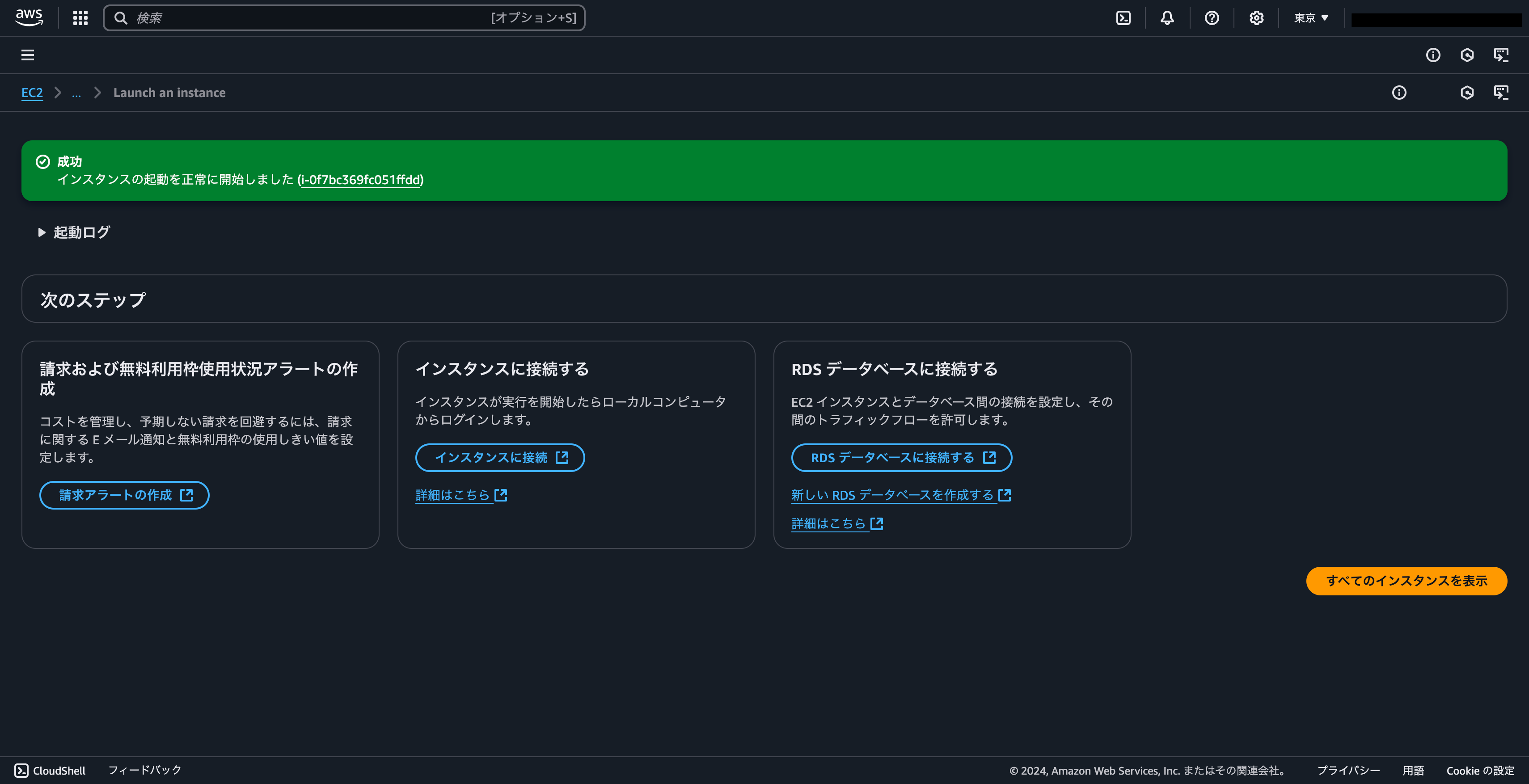 ap-northeast-1.console.aws.amazon.com_ec2_home_region=ap-northeast-1 (12).png