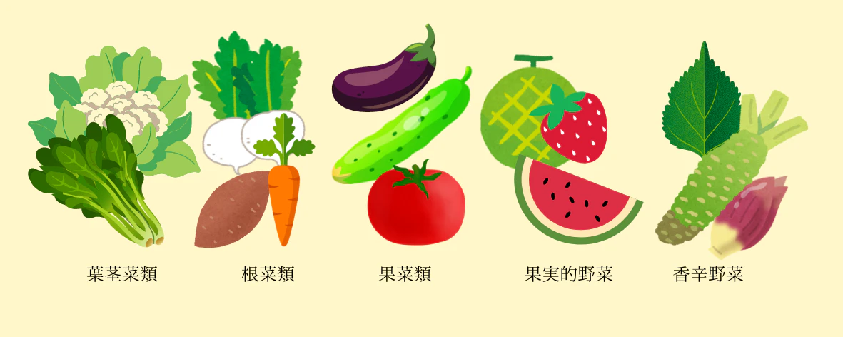 野菜5分類.png