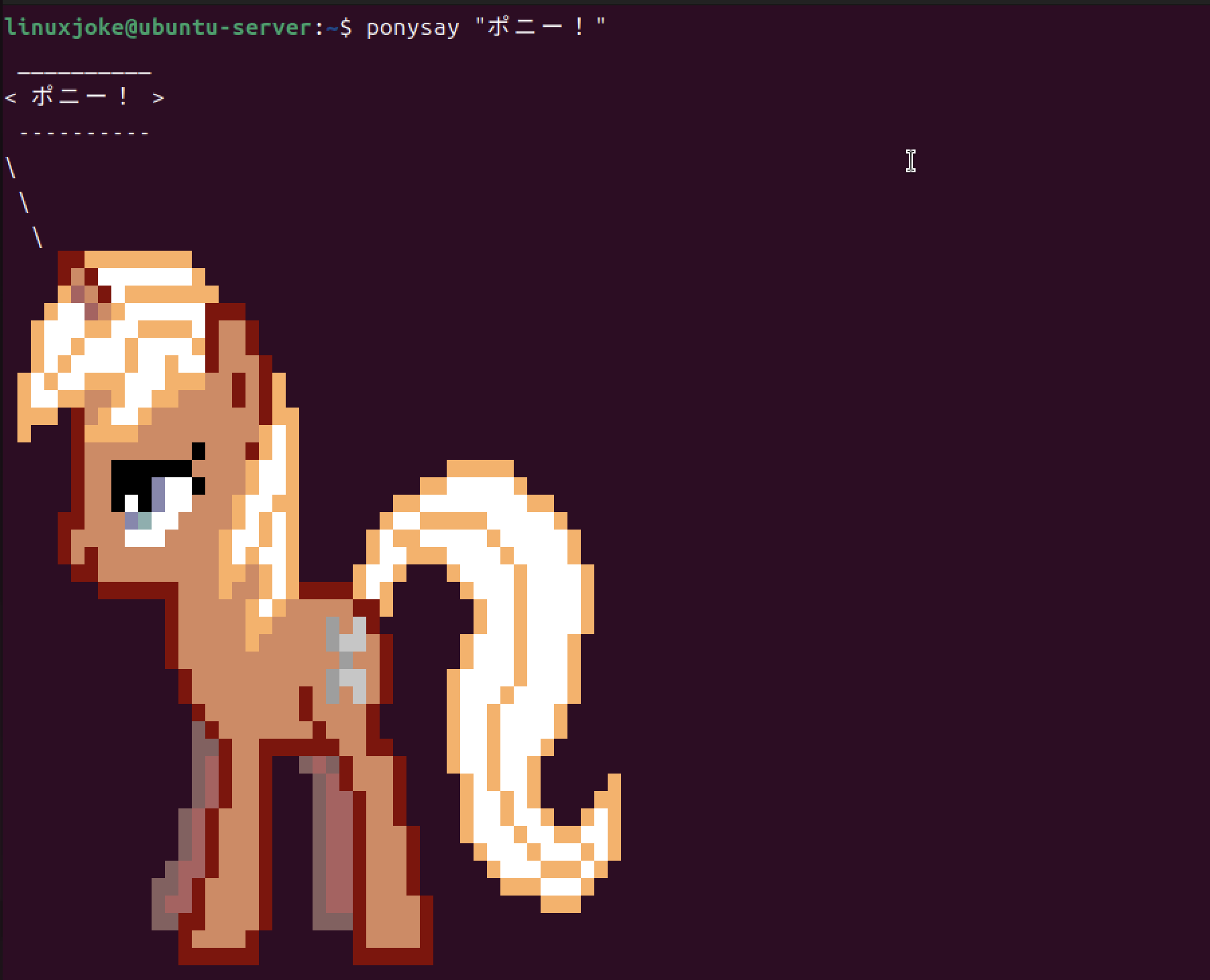 スクリーンショット 2024-12-02 15.43.41.png