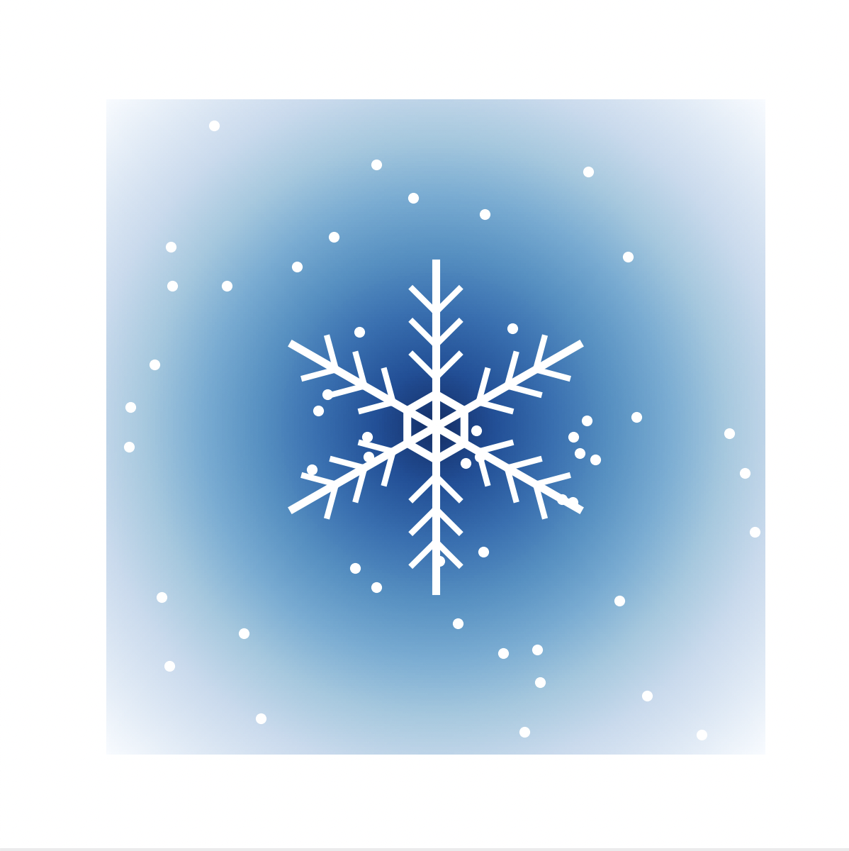 「雪の結晶の基本模様」 画像