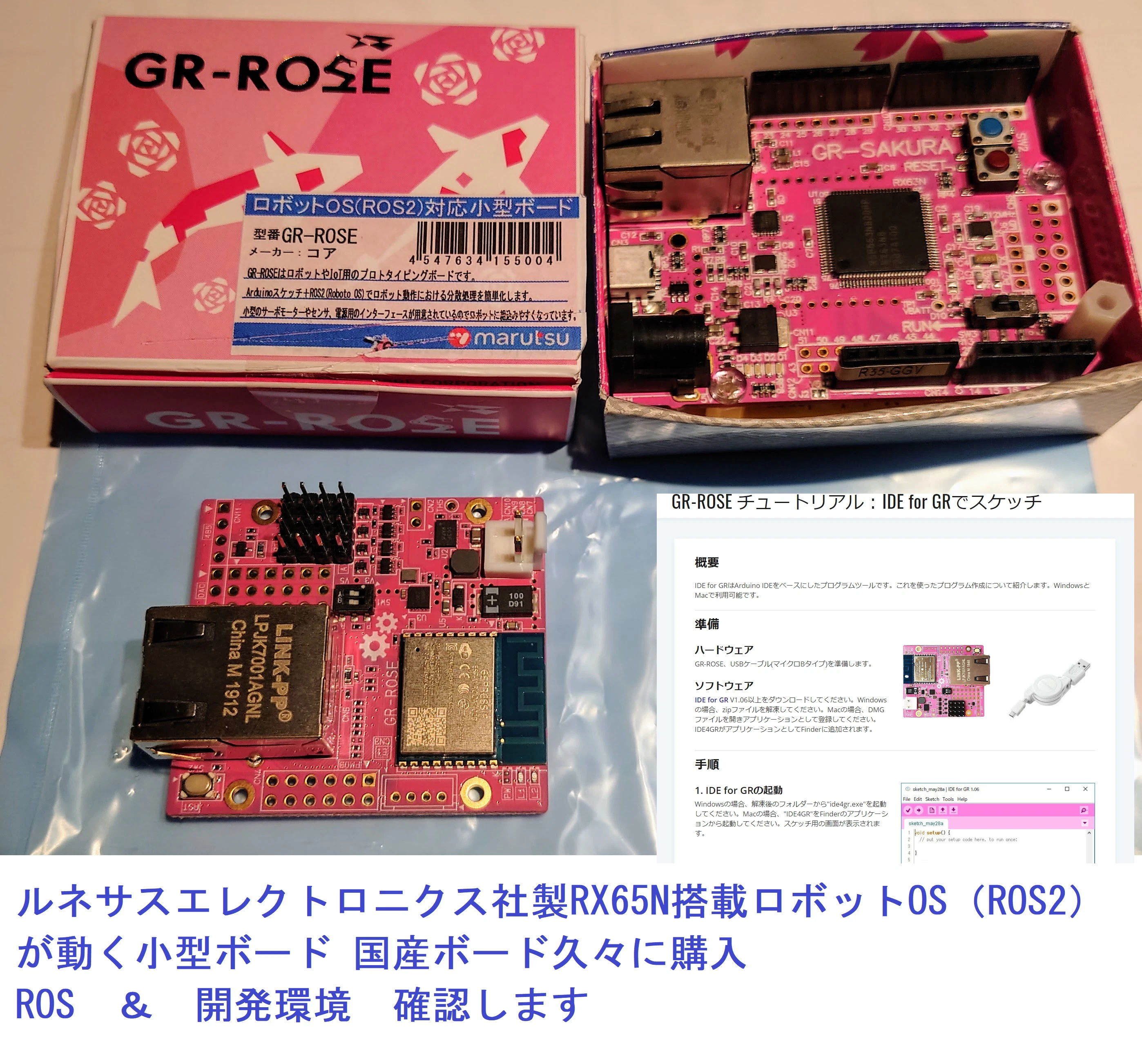 DSGR-ROSE.JPG