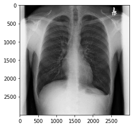 ダウンロード (6).png