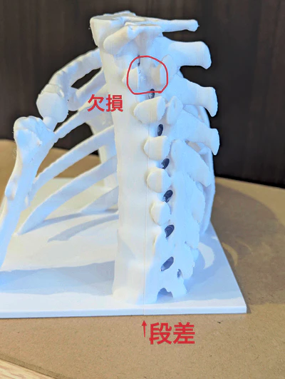 完成品-印刷段差-2_modify.jpg