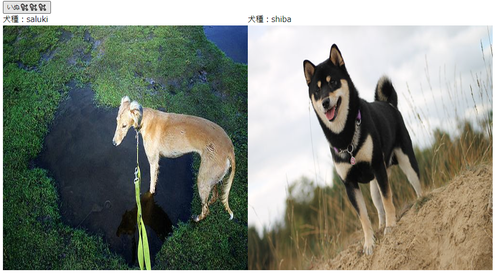 inu2.png