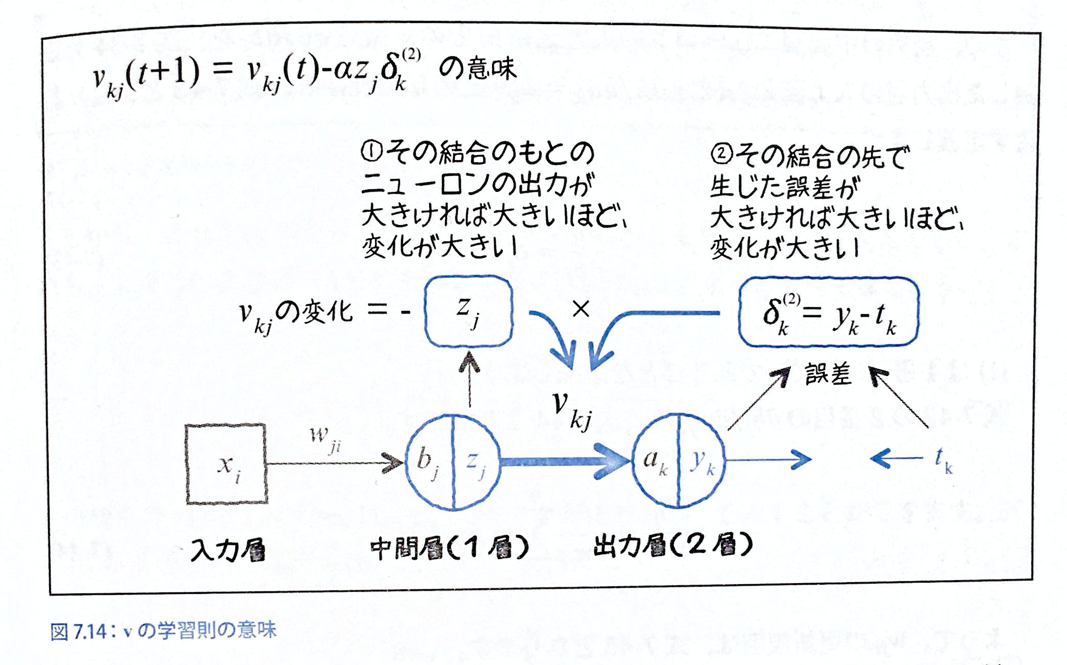 記事 記事