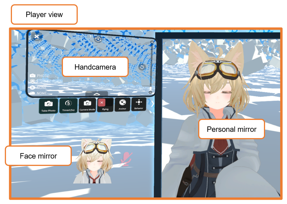 VRC local cameras.png