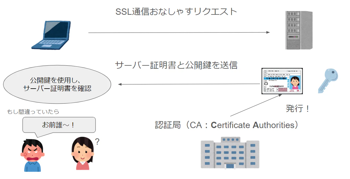 スクリーンショット 2024-09-11 083114.png