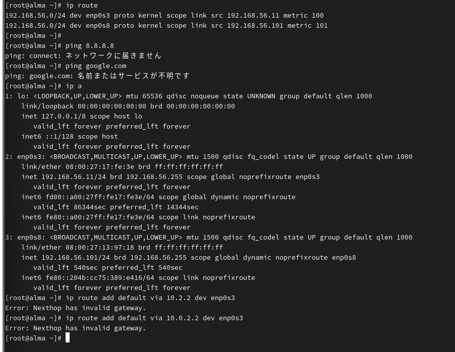 Network設定画面(NATが10.0.2.xでない)