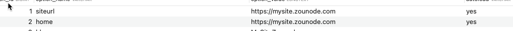 Cursor_と__MySQL_5_5_5-10_6_4-MariaDB-1_10_6_4_maria_focal__local-wp_proto_wordpress_wp_options.png