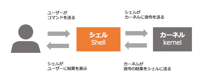 Shell1.png