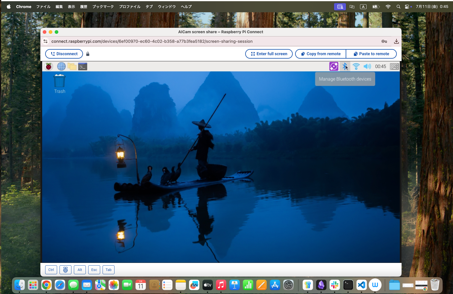 スクリーンショット 2025-07-11 0.45.41.png