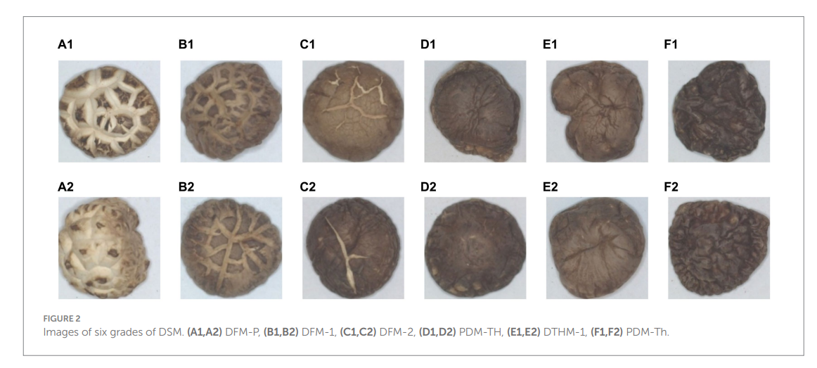 スクリーンショット 2024-09-09 125200.png
