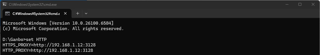 06proxy_setting2.png