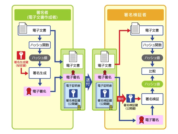 Image 2025-08-07 at 13.22.jpeg