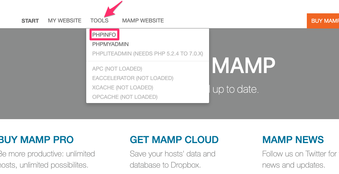 MAMP02.png