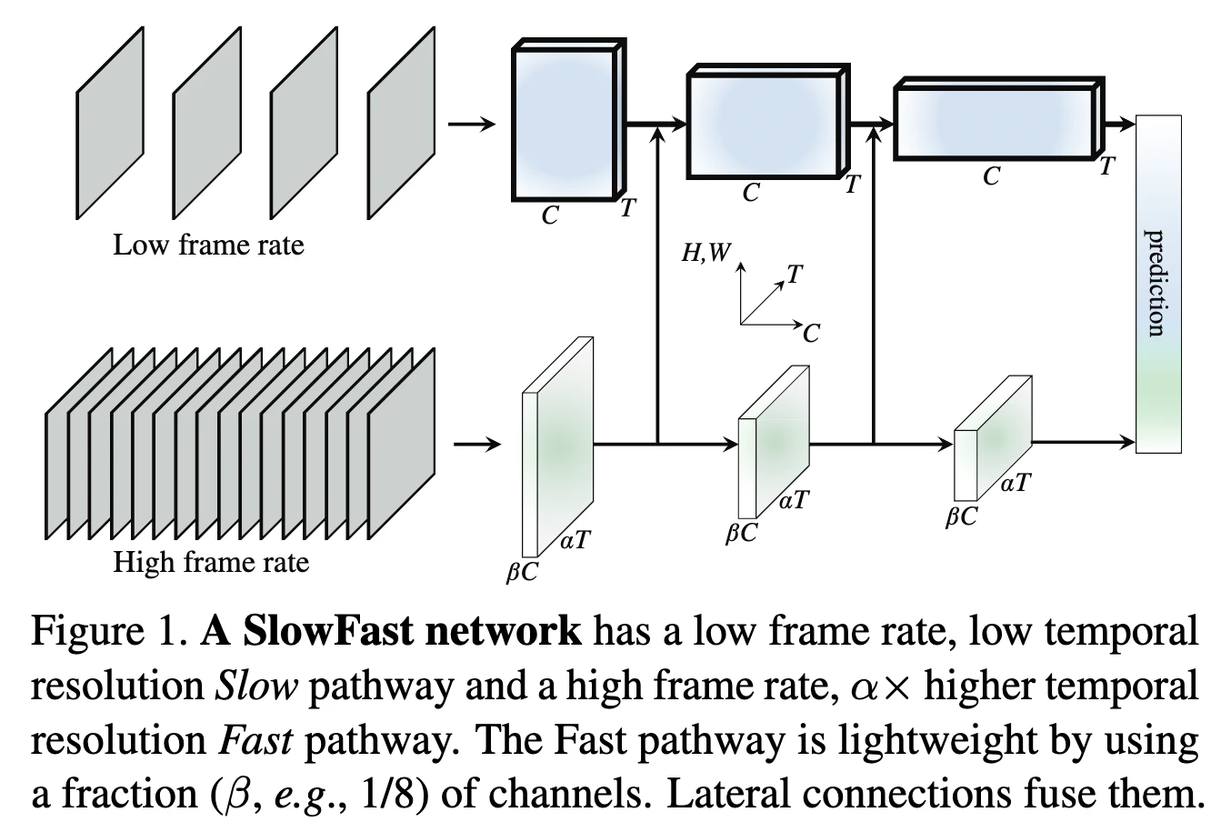 SlowFast.png
