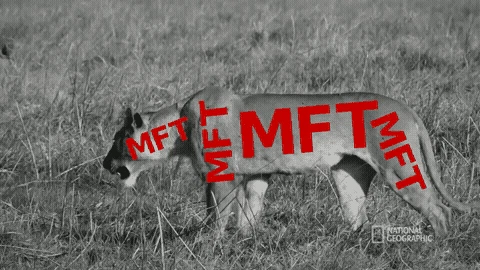 MFT.gif