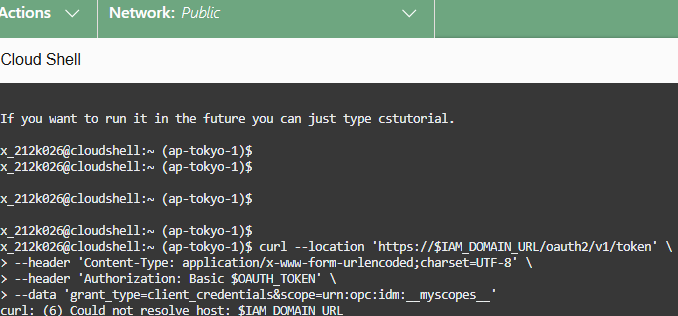 OCI-Generate identity domain administration token2-error.png