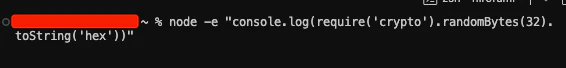 zsh-terminal.png