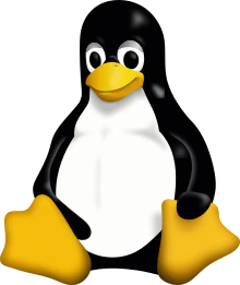 Tux.svg.png