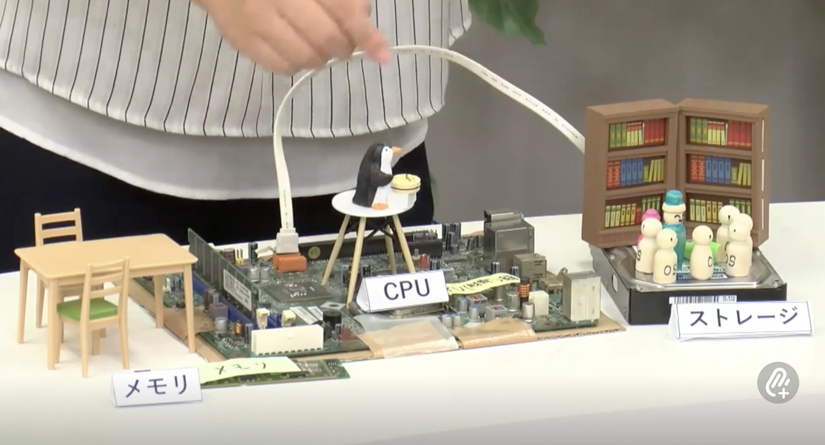 スクリーンショット 2024-12-13 12.36.45.png