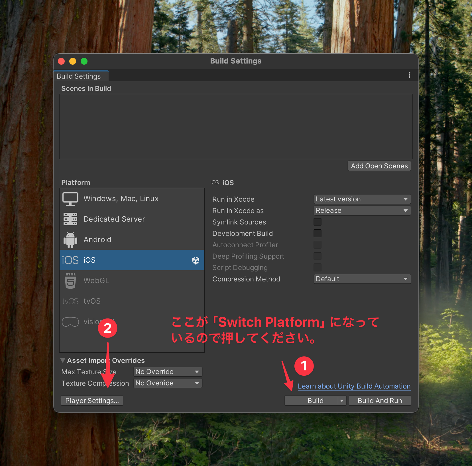 CleanShot 2024-12-03 at 00.51.35@2x.png