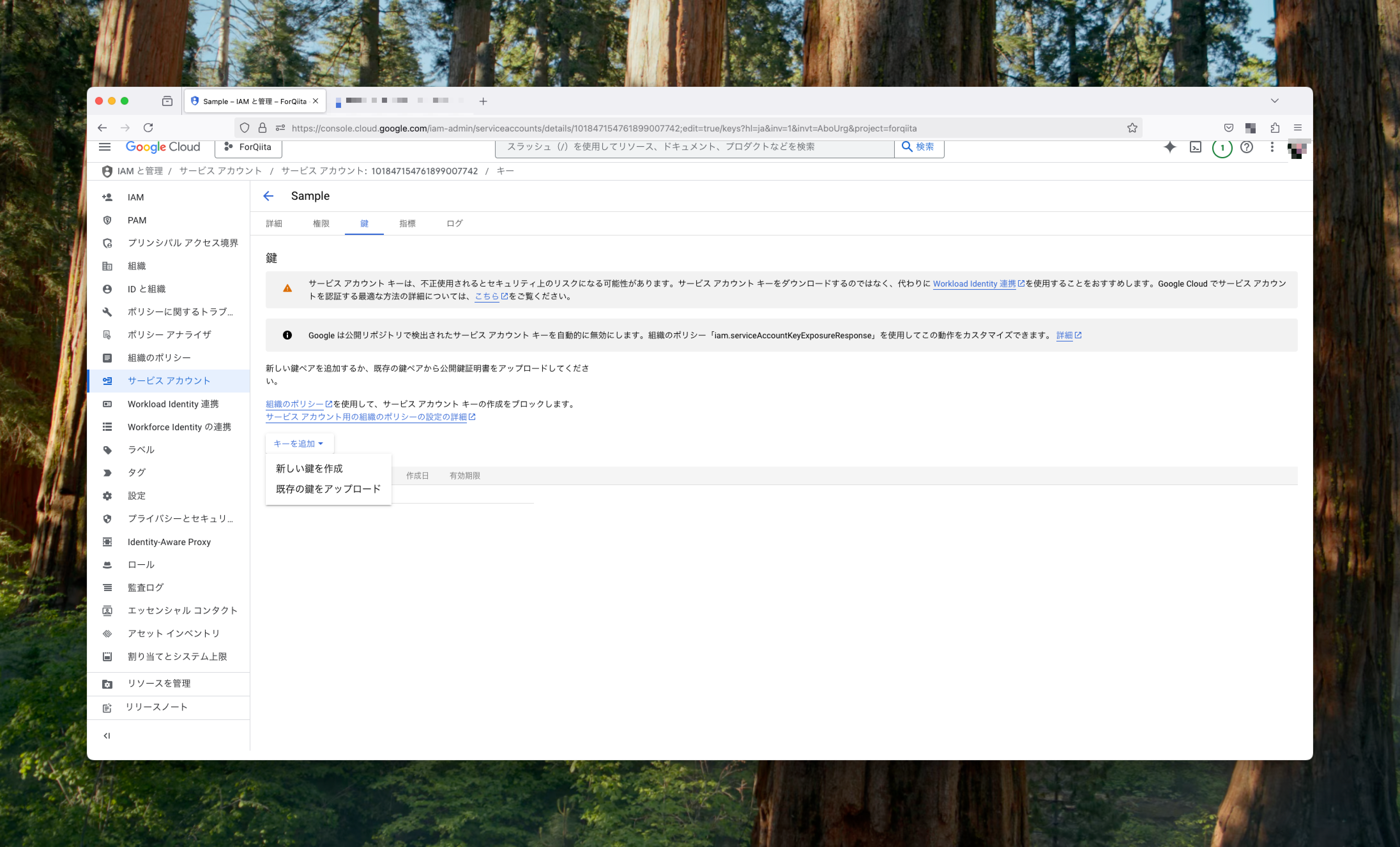 CleanShot 2025-01-31 at 23.15.32.png