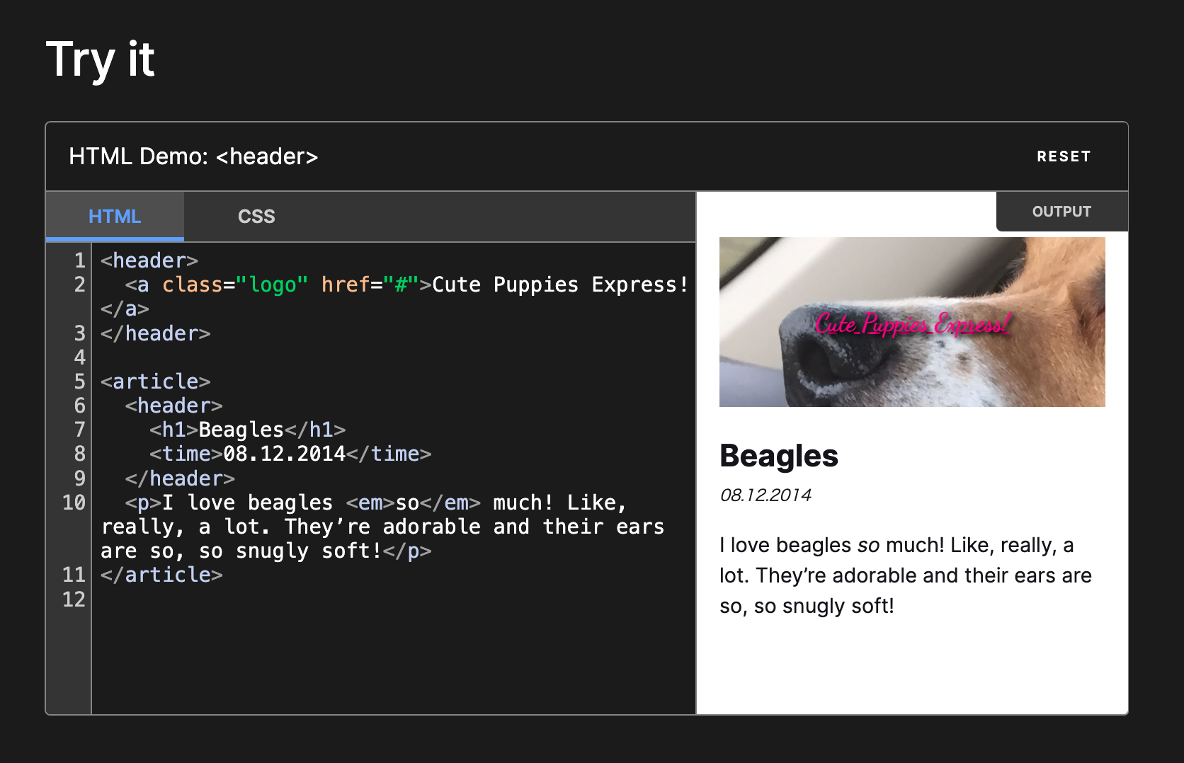 スクリーンショット 2024-12-07 11.47.23.png