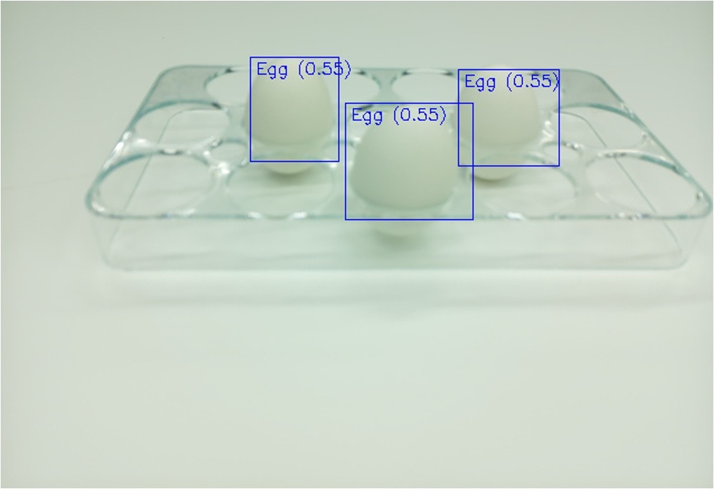 egg_sample