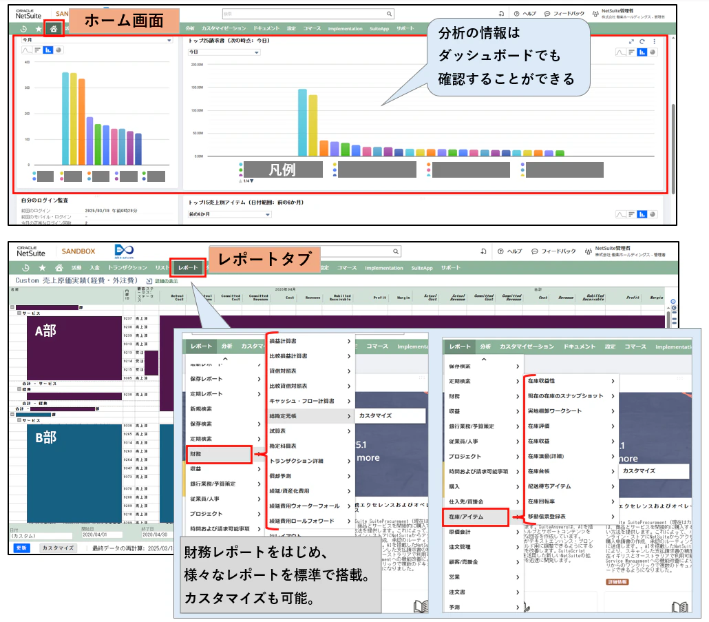 NS_SuiteAnalytics NS_SuiteAnalytics1