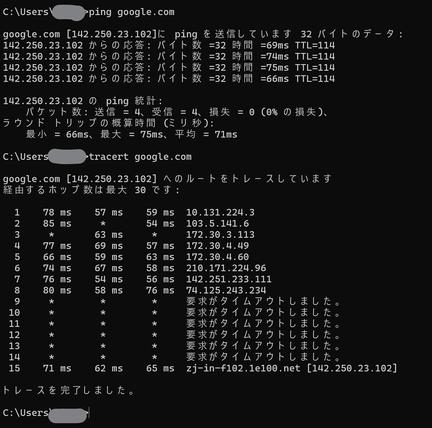 qiita-ping-traceroute.png