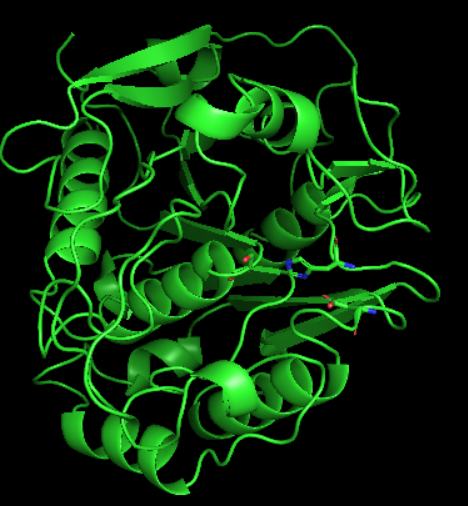 250413_pymol_2d80.png