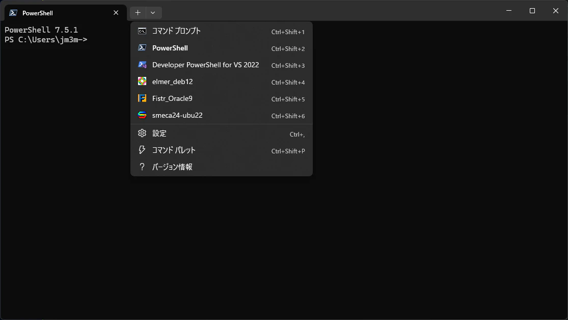 Windowsターミナルのvマークをクリック スクリーンショット 2025-04-26 151013.png