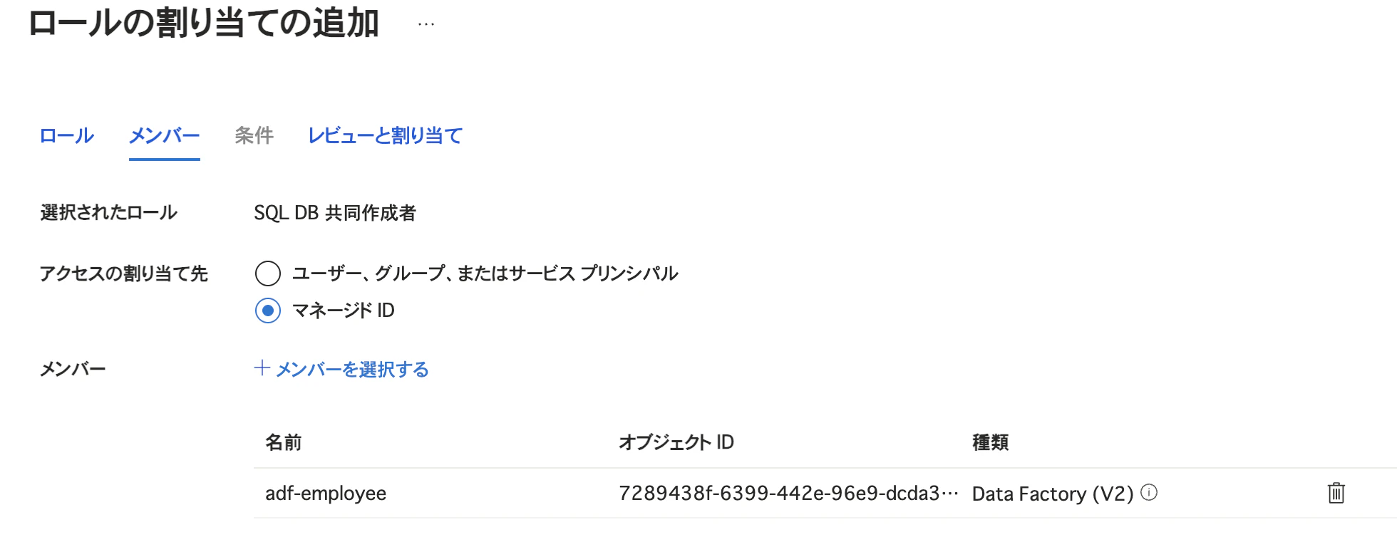 SQL DB 共同作成者