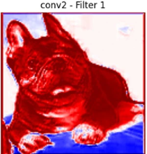 conv2_comparison_heatmap_result_02_w300.jpg