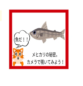 スクリーンショット (63).png